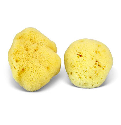 Natural Sea Sponge - Zero Waste Organic Sponge - Plastic Free Biodegradable Bath Sponge