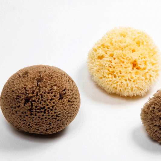 Natural Sea Sponge - Zero Waste Organic Sponge - Plastic Free Biodegradable Bath Sponge
