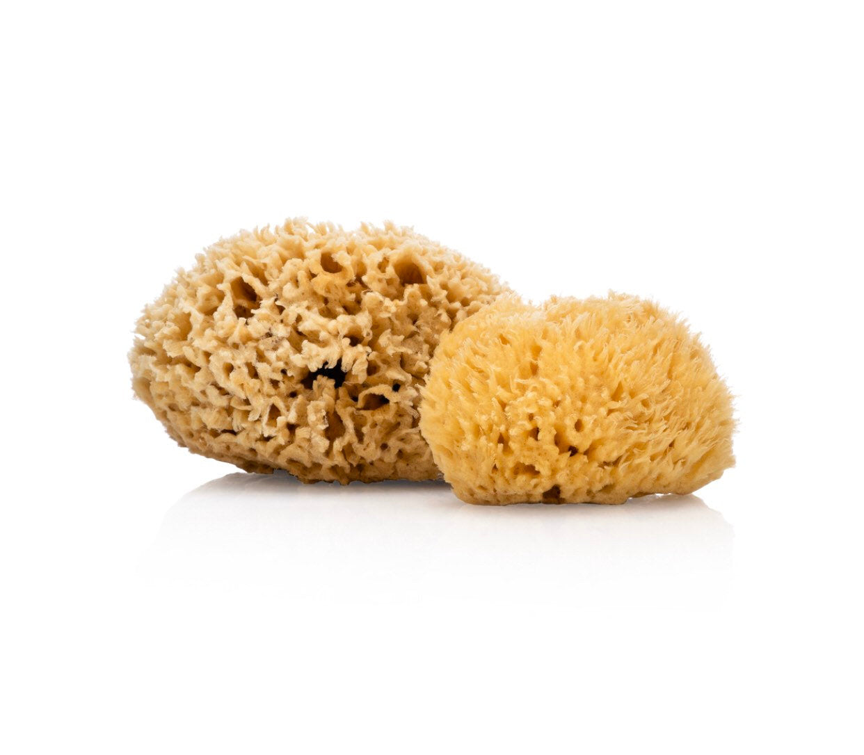 Natural Sea Sponge - Zero Waste Organic Sponge - Plastic Free Biodegradable Bath Sponge